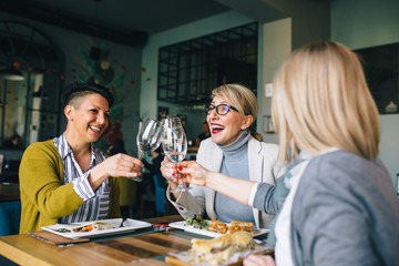 women friends making a toast or cheers with wine in restaurant