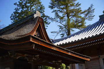 Fototapeta premium KYOTO