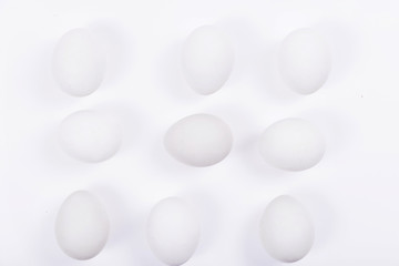 White eggs on a white background are arranged in rows.