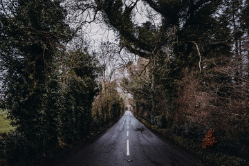 Dark Hedges Game of Thrones 