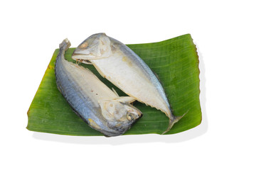 Mackerel isolated on white background.This had clipping path.