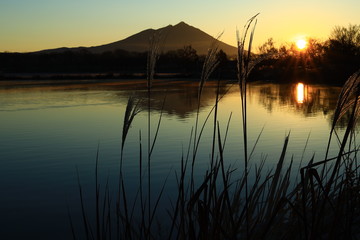 母子島遊水地の筑波山