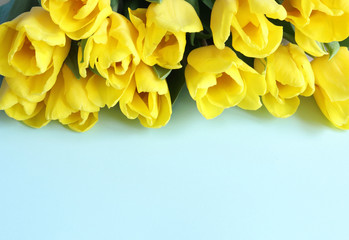 beautiful, spring, delicate bouquet of yellow tulips, lies on a horizontal surface, on a blue background. Close-up. Flowers, plants, gifts, spring, cards