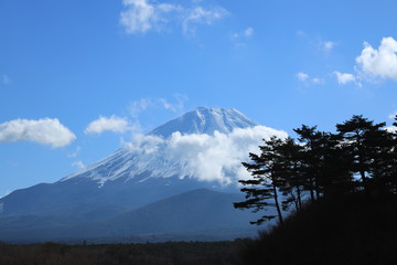 精進湖と富士山
