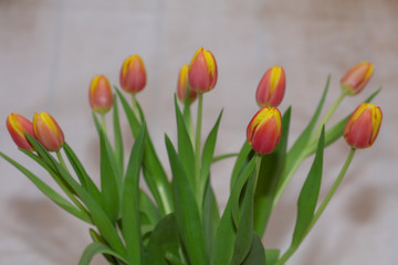 Blumenstrauß aus Tulpen an Ostern