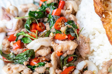 Stir fried squid basil and minced pork with steamed rice and fried egg on a white plate.