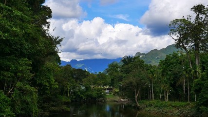 Fototapeta na wymiar View from a bridge to Gunung Mulu Nationalpark, Borneo