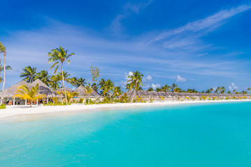 Amazing Maldives island panorama. Beautiful beach scene with palm trees and perfect blue sea water. Relaxing and exotic tropical landscape view. Luxury summer vacation and holiday banner concept
