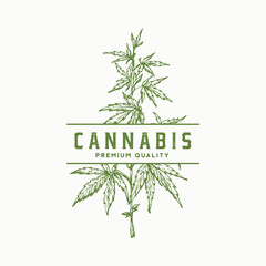 Premium Quality Cannabis Abstract Vector Sign, Symbol or Logo Template. Hand Drawn Green Hemp Branch with Leaves Sketch Sillhouette with Retro Typography. Vintage Luxury Medicine Herb Emblem.