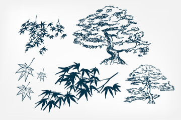 maple tree leaves branches sketch vector japanese illustration ink design elements