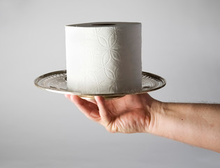 Last roll of Toilet Paper. © W.Scott McGill