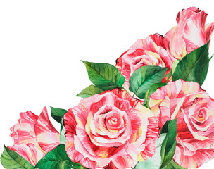 Bouquet of watercolor roses, red pink rose flowes on an isolated white background, watercolor flower, stock illustration.  Card, postcard, greeting, invitation.