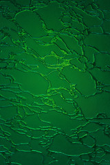 Obraz premium Green translucent relief glass, background.Green textured window pane