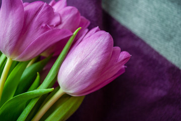 Obraz premium tulips bouquet. flowers in spring, summer, March 8, a gift for Mother's Day. Congratulations on the holiday. beautiful background