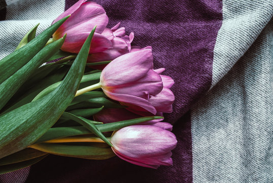 tulips bouquet. flowers in spring, summer, March 8, a gift for Mother's Day. Congratulations on the holiday. beautiful background