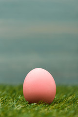 Pink chicken Easter egg on green grass