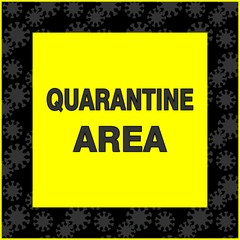 quarantine area. warning sign. black lettering on a yellow background. black frame of gray coronaviruses.