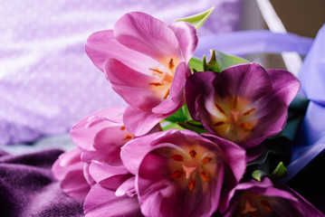 tulips bouquet. flowers in spring, summer, March 8, a gift for Mother's Day. Congratulations on the holiday. beautiful background