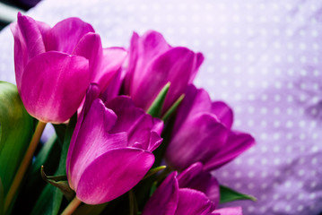 Obraz premium tulips bouquet. flowers in spring, summer, March 8, a gift for Mother's Day. Congratulations on the holiday. beautiful background