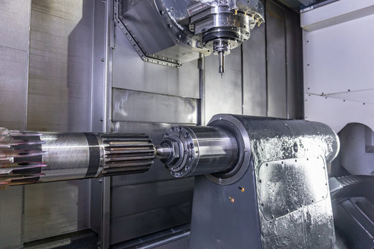 Nonius bilder Bläddra bland 333 stockfoton, vektorer och videor