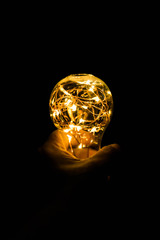 Bulb holding in hand with a nice blurry bokeh effect. photography art, light bokeh, reflection,...