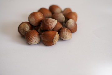 Hazelnut shell dried on white background