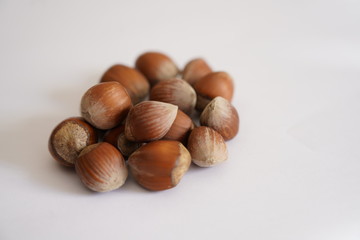 Hazelnut shell dried on white background
