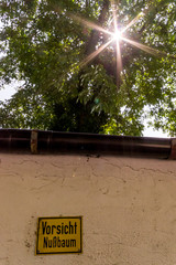 Gelbes Warnschild mit schwarzer Schrift „Vorsicht Nussbaum“ an einer verputzten Grundstücksmauer für Fußgänger. Es können Nüsse vom Baum fallen und Schmerzen verursachen