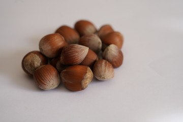 Hazelnut shell dried on white background