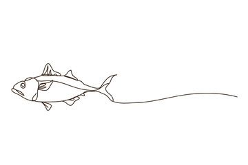fish , line drawing style,vector design