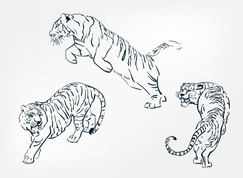 running tiger drawing