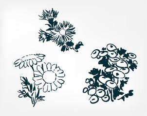 ink flower vector sketch illustration japanese chinese oriental line art design elements