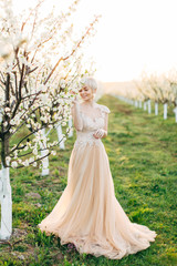 The image of a beautiful bride in a blossoming garden, standing near the flowering tree. Spring walk in blooming garden