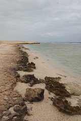 mar rosso berenice egitto