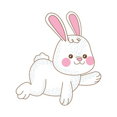 cute little rabbit easter character