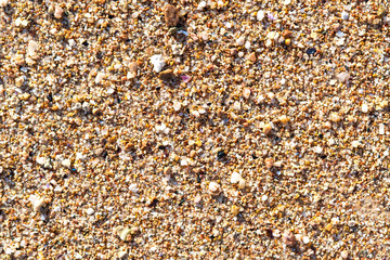 Flat lay surface of sandy beach with yellow sand and small stones background.
