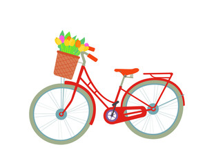 Red bicycle with flower bouquet with tulips in front basket on white background. Flat vector illustration.