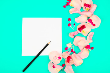 Flat lay blogger or freelancer workspace with a paper card, light pink petals on a color background