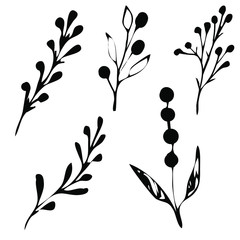 Vector illustrations - Floral set (flowers, leaves and branches). Hand drawn design elements in sketch style. Perfect for invitations, greeting cards, prints