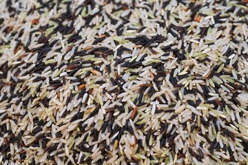 Close up of asia raw rice grain and dry rice background