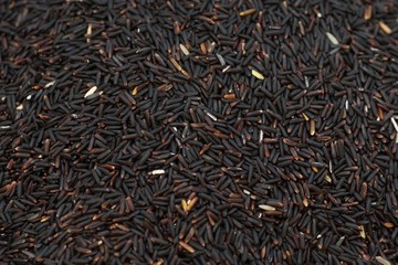 Close up of asia raw rice grain and dry rice background