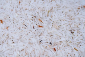Close up of asia raw rice grain and dry rice background