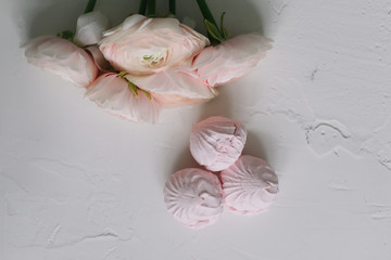 Spring wallpaper. Pink  flowers and marshmallows on a white background. Flowers composition. Flat lay, top view, copy space. 