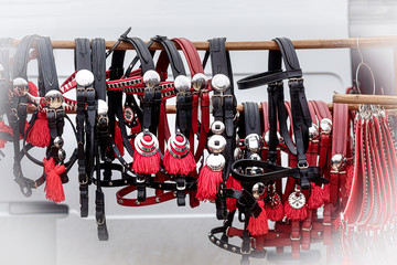 ornate harness in close-up view.