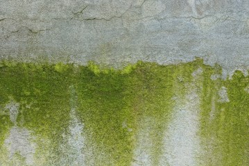 gray green stone texture from old concrete wall
