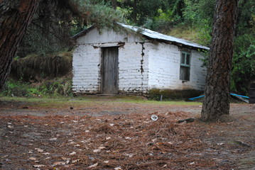 Campo Bosque