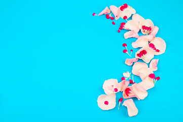 Frame made of roses petals on light blue flat lay backgroung. Flowers composition