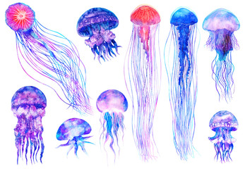 Watercolor jellyfish set in modern bright colors isolated on white background underwater vivid illustration in large size Design element in magic style, purple blue violet glow pink fluid colorful © JuAngelArts