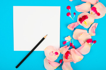 Obraz premium Spring composition with flowers on color table. Womens blog concept. Space for text
