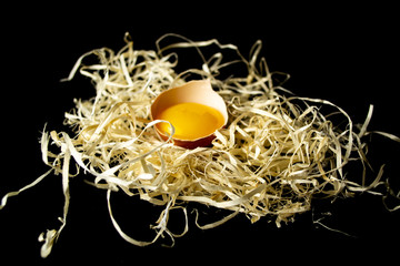 Broken egg on wood shavings on a black background